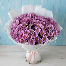 Букет цветов из:  Хризантемы в Ялге